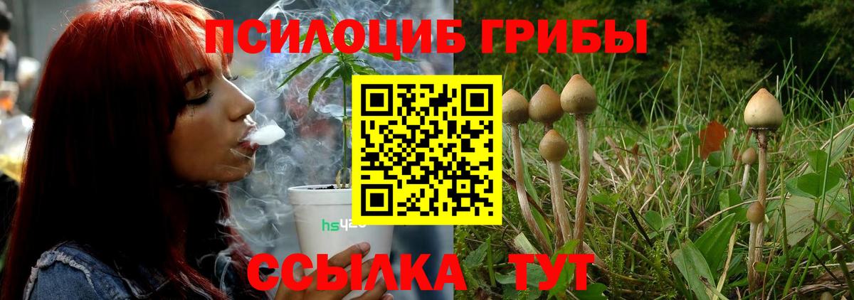 Галлюциногенные грибы прущие грибы Тавда